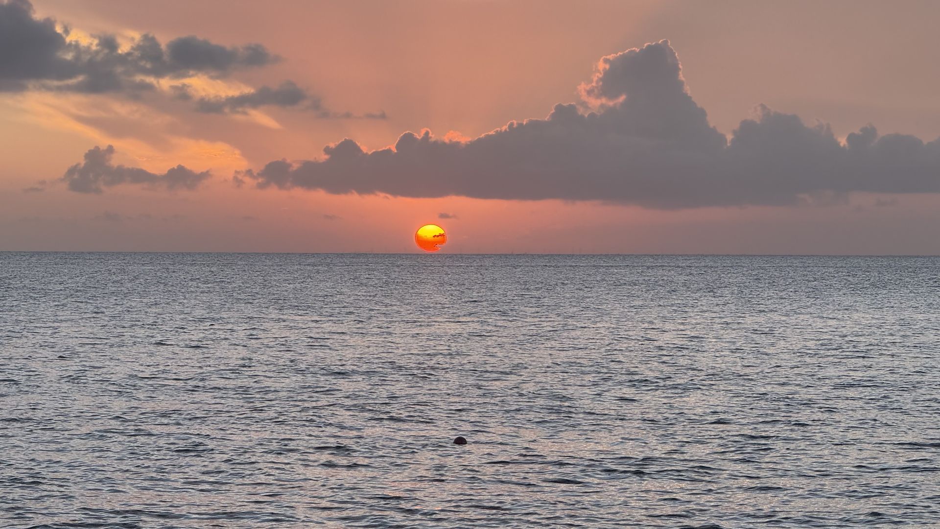 Coastal research site at dawn
